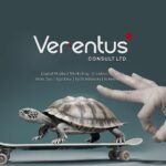 VERENTUS info gra (2)