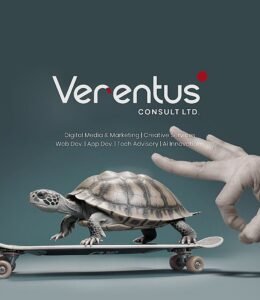 VERENTUS info gra (2)